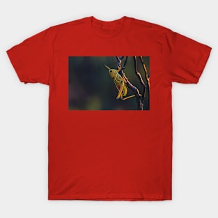 Wild life design T-Shirt